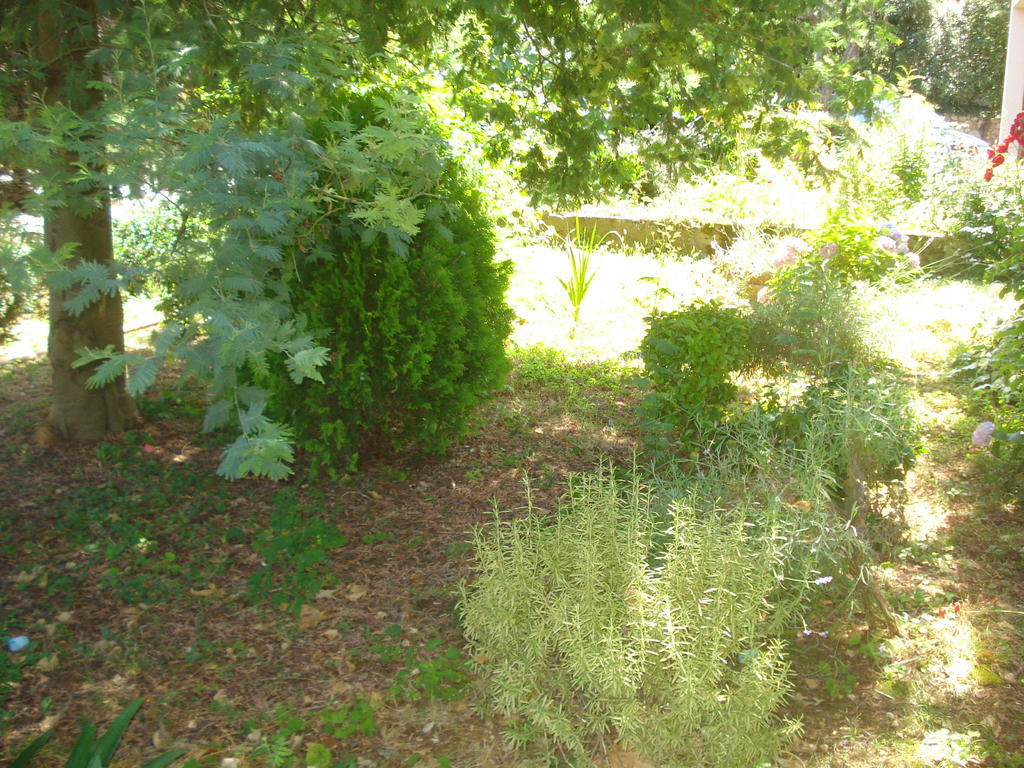 Apartments Vidakovic Ugljan Bagian luar foto